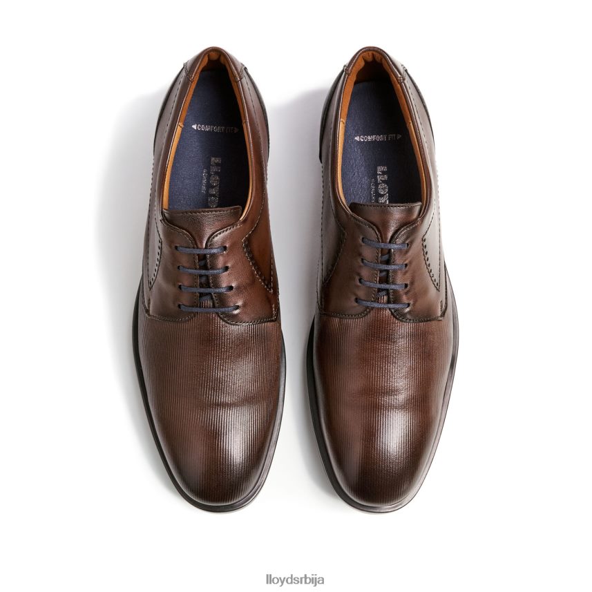 калмат (ктравиде) мушкарци D0806T627 ципеле браон LLOYD