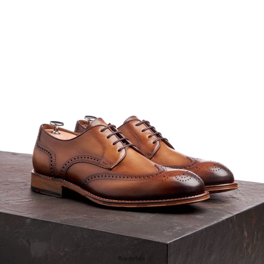 варвицк мушкарци D0806T74 ципеле браон LLOYD