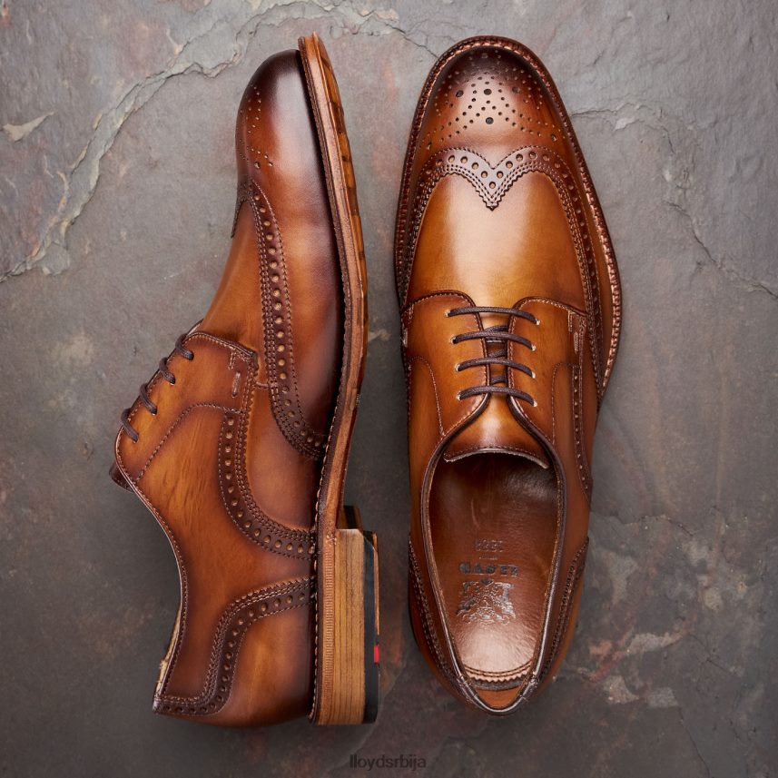 варвицк мушкарци D0806T74 ципеле браон LLOYD