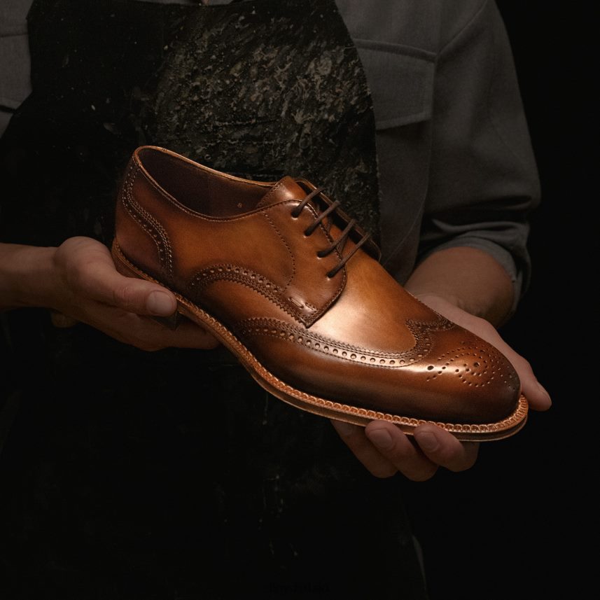 варвицк мушкарци D0806T74 ципеле браон LLOYD