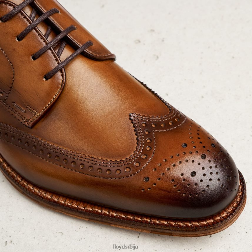 варвицк мушкарци D0806T74 ципеле браон LLOYD