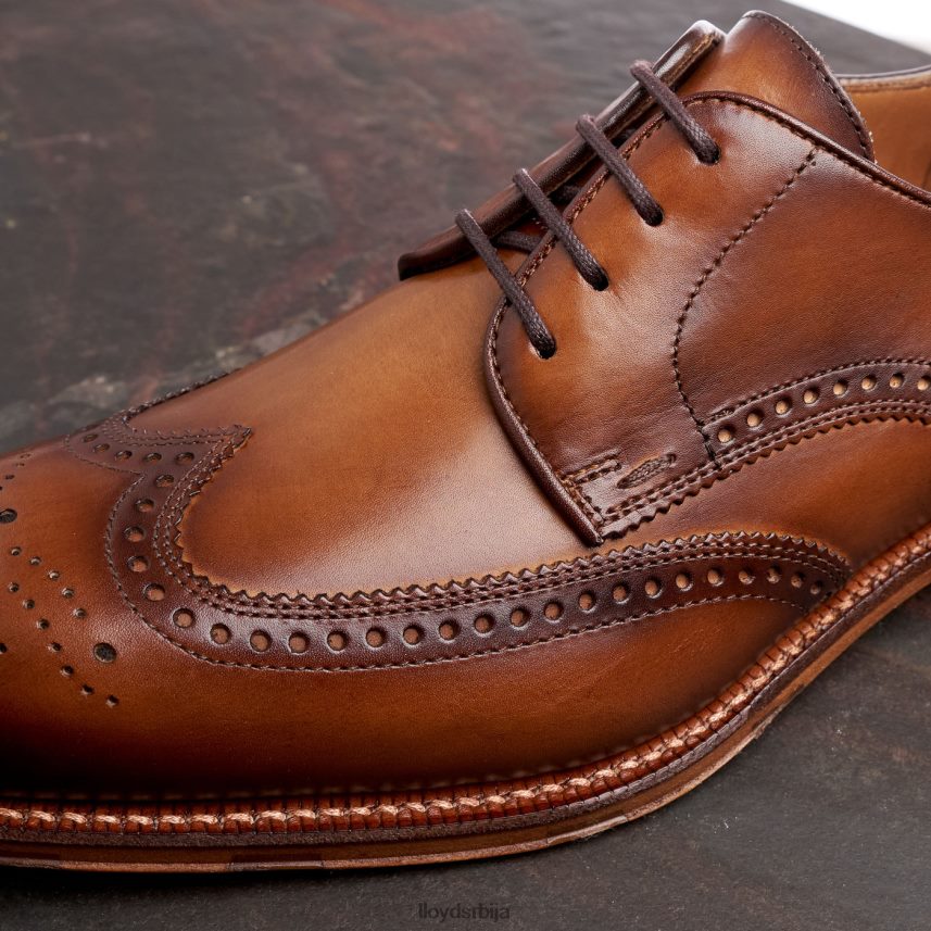 варвицк мушкарци D0806T74 ципеле браон LLOYD