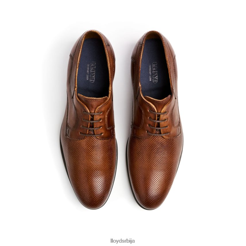 левин мушкарци D0806T87 ципеле браон LLOYD