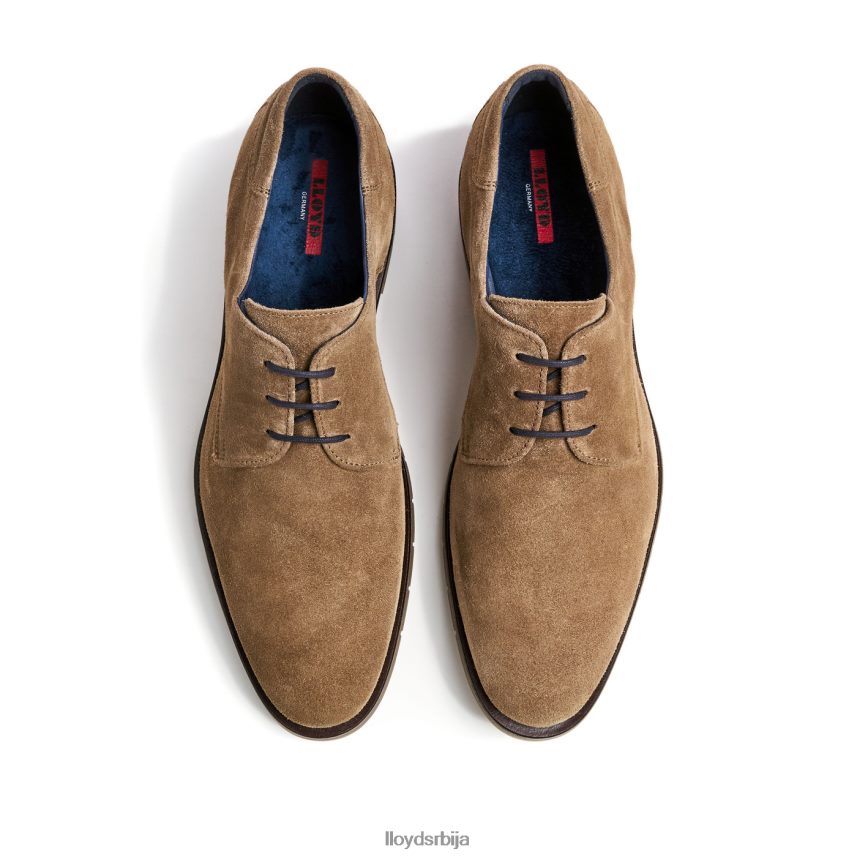 тамбо мушкарци D0806T92 ципеле браон LLOYD