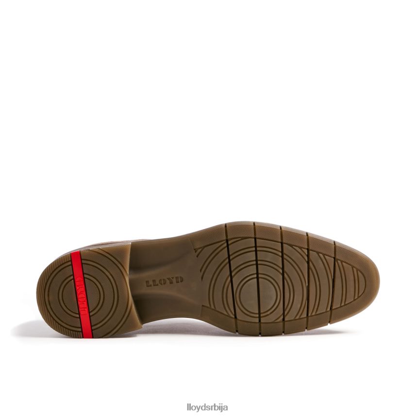 тамбо мушкарци D0806T92 ципеле браон LLOYD