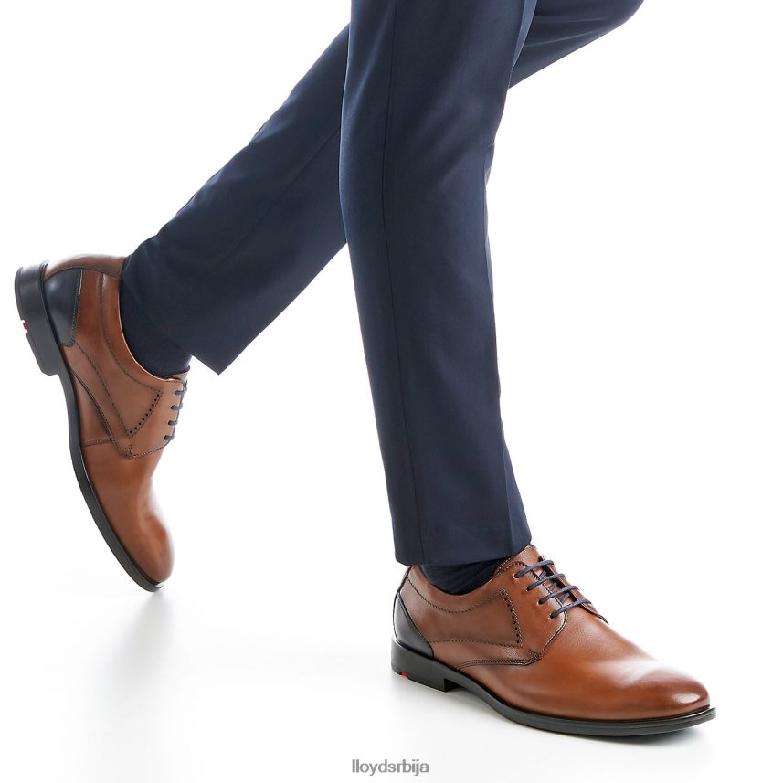 калмар (ктравиде) мушкарци D0806T94 ципеле браон LLOYD