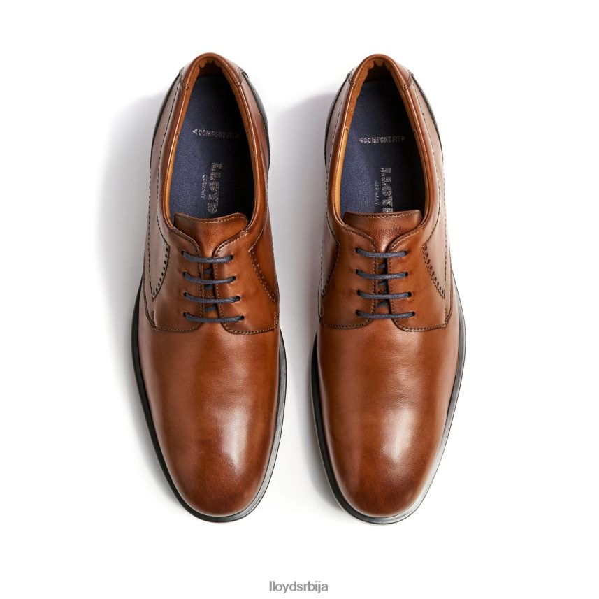 калмар (ктравиде) мушкарци D0806T94 ципеле браон LLOYD