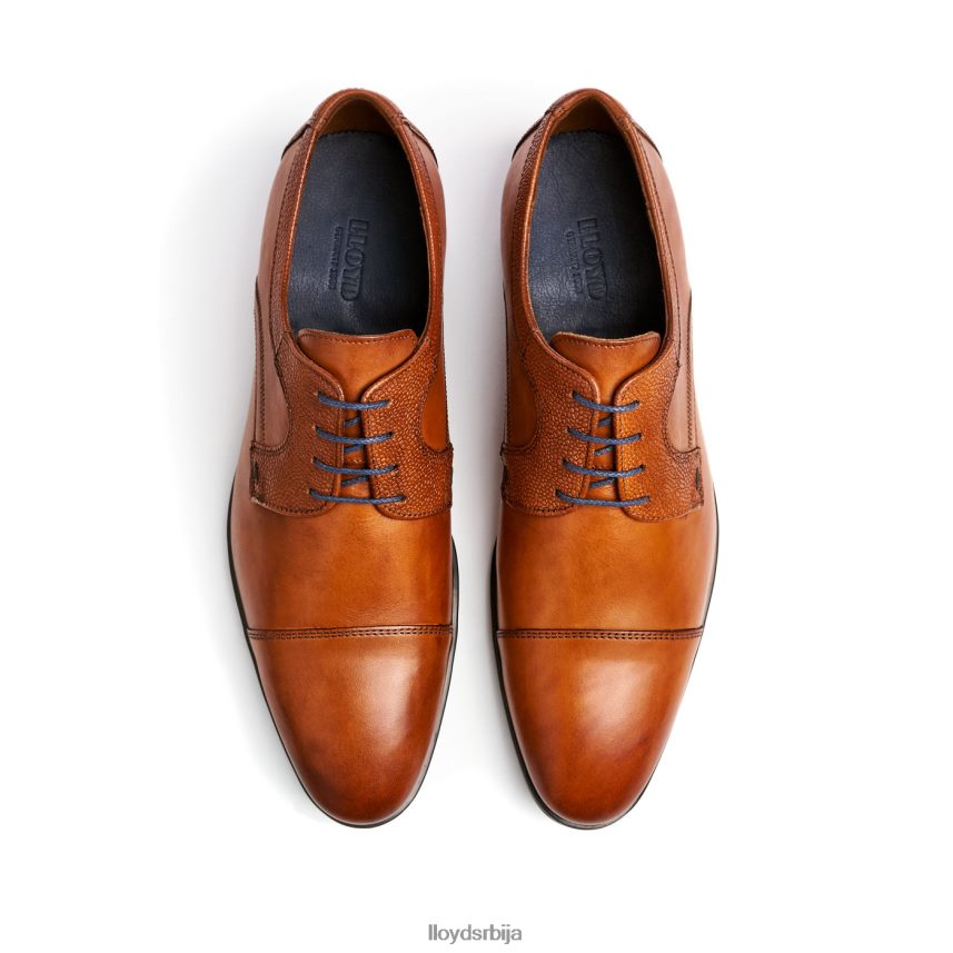 орвин мушкарци D0806T95 ципеле браон LLOYD