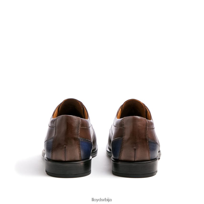 калмар (ктравиде) мушкарци D0806T99 ципеле браон LLOYD